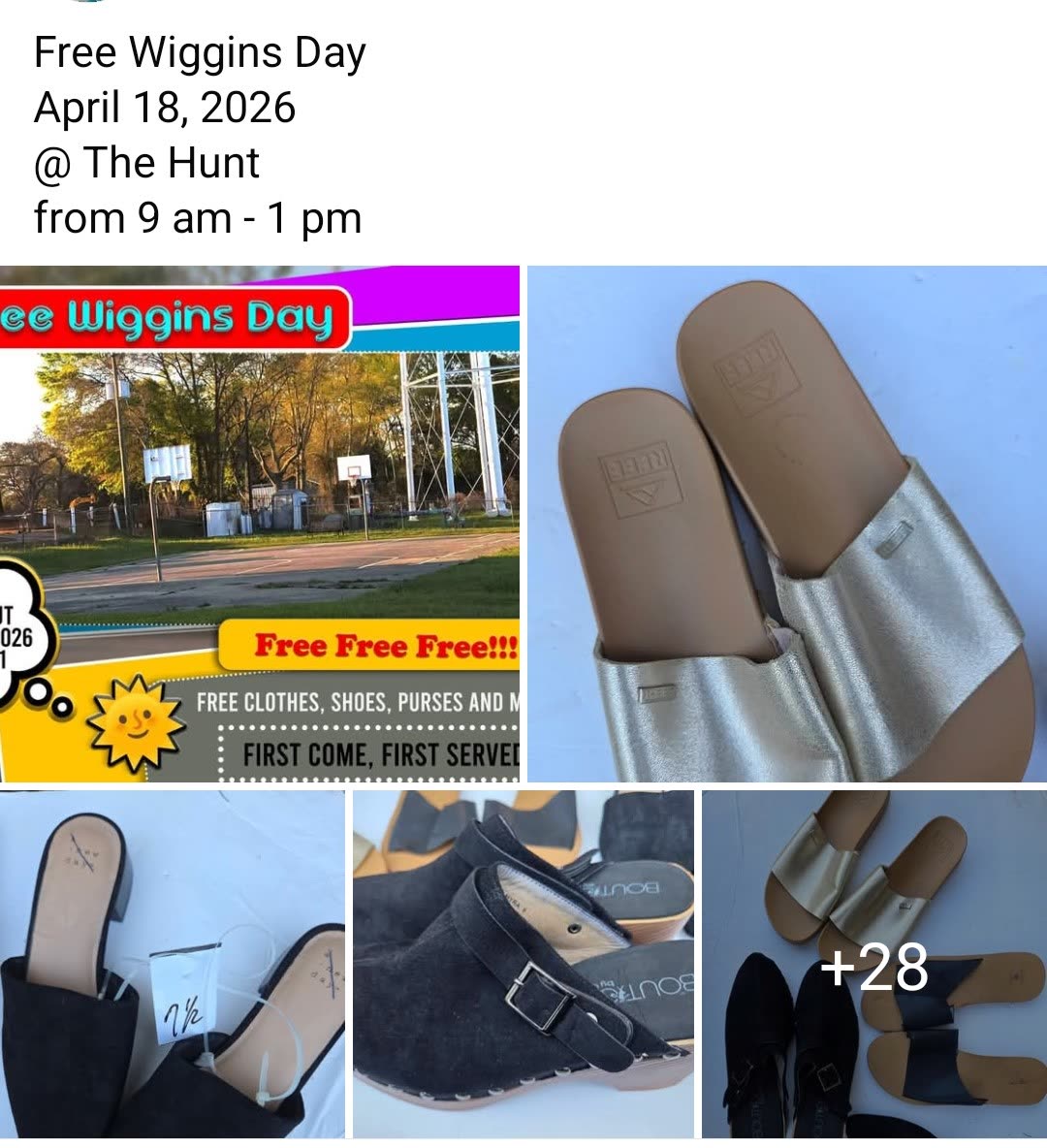Free Wiggins Day giveaway items